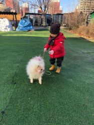 -萌宠亲子动物乐园(槐房万达店)