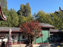 -宫事颐庭·老佛爷贵寿下午茶(颐和园店)