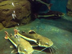 -泉州海丝野生动物世界