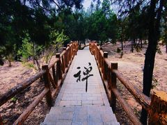 -白水寺森林公园