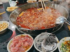 -星鸿社重庆老火锅(燃灯寺分店)