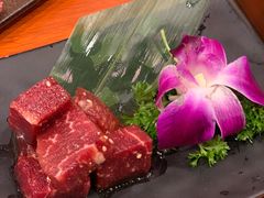 -大阪烧肉BAKA一代(十亩地店)