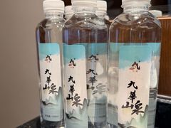 -九华山聚龙大酒店