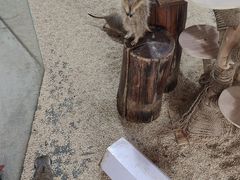 -海合安武汉极地海洋公园