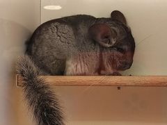 -龙猫仔乐园(惠福东路店)