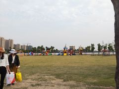 -菊园百果园