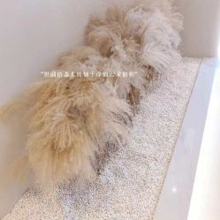 -佳妍惠美科技美肤美体中心