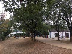 -武汉开心果园农业发展有限公司