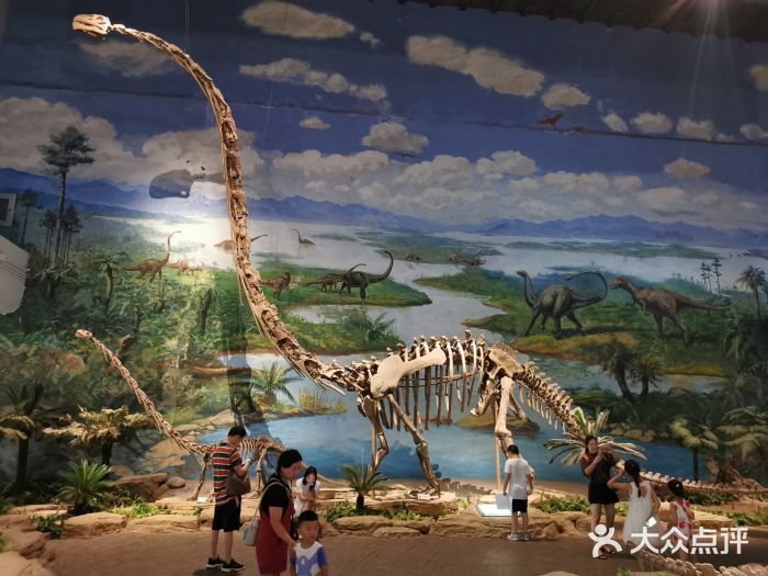 自贡恐龙博物馆图片