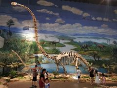 -自贡恐龙博物馆