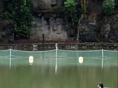 -珠海圆明新园
