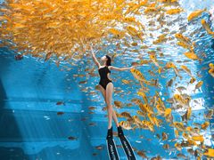 -三亚海昌梦幻海洋不夜城