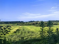 -合肥三国新城遗址公园