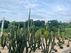 -东莞植物园