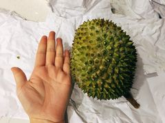 -盒马鲜生(顺义店)