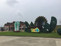 -上海都市菜园