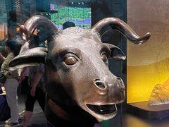 -广西壮族自治区博物馆