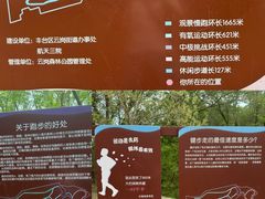 -云岗森林公园