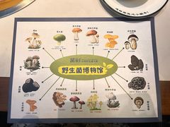 -菌彩云南野生菌火锅(呈贡七彩云南第壹城店)