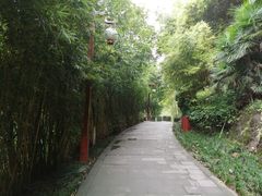 -重庆彩云湖湿地公园