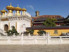 -上海东林寺(金山区)