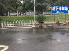 -北京中医药大学东方医院(方庄院区)