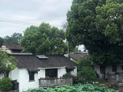 -金泽古镇