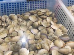 -盒马鲜生(大成店)