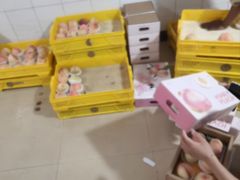 -老袁家蜜桃农场·阳山水蜜桃