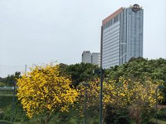 -观澜湖生态运动公社