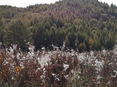-驼梁风景区