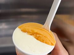 -Dip in Gelato(富民路店)