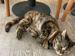 -VOYAGE COFFEE(北锣鼓巷店)