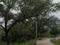 -白水寺森林公园