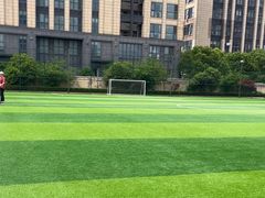 -小赛虎少儿足球培训(南翔校区)