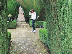 -阿尔罕布拉宫