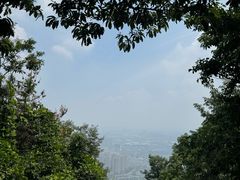 -惠山国家森林公园