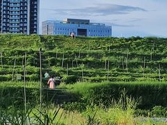 -光明小镇欢乐田园