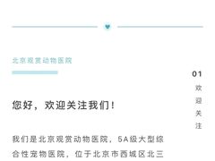 -北京观赏动物医院·24小时大型综合·猫专科·异宠专科