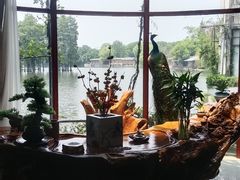 -东湖食堂·湖景餐厅•会议