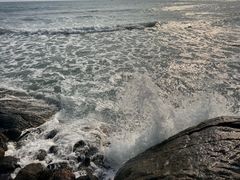 -龙泉人椰子鸡.糟粕醋.海南菜(三亚旗舰店)