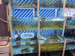 -蔚海之都·象山蒸汽海鲜(仙霞路店)