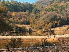 -南国桃园旅游度假区