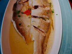 花雕醉黄鱼-寻宝记绍兴菜(鲁迅路店)