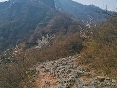 -阳台山自然风景区