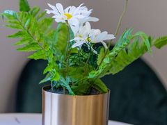 -万达广场(泰安泰山店)