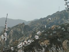 -北京鹫峰国家森林公园
