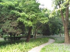 -方庄体育公园