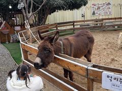 -HERRE·FARM 赫尔露营农场·团建聚会包场