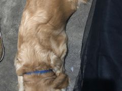 -益友堂盲人推拿正骨穴位按摩工作室